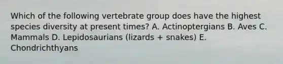 Which of the following vertebrate group does have the highest species diversity at present times? A. Actinoptergians B. Aves C. Mammals D. Lepidosaurians (lizards + snakes) E. Chondrichthyans