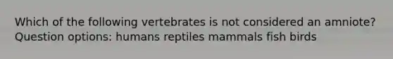 Which of the following vertebrates is not considered an amniote? Question options: humans reptiles mammals fish birds