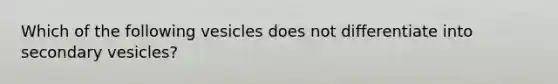 Which of the following vesicles does not differentiate into secondary vesicles?