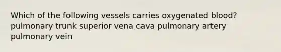 Which of the following vessels carries oxygenated blood? pulmonary trunk superior vena cava pulmonary artery pulmonary vein