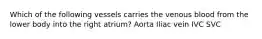 Which of the following vessels carries the venous blood from the lower body into the right atrium? Aorta Iliac vein IVC SVC