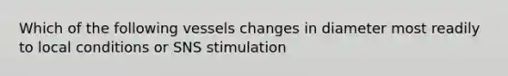 Which of the following vessels changes in diameter most readily to local conditions or SNS stimulation