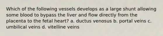 Which of the following vessels develops as a large shunt allowing some blood to bypass the liver and flow directly from the placenta to the fetal heart? a. ductus venosus b. portal veins c. umbilical veins d. vitelline veins