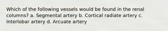 Which of the following vessels would be found in the renal columns? a. Segmental artery b. Cortical radiate artery c. Interlobar artery d. Arcuate artery