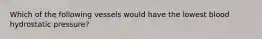 Which of the following vessels would have the lowest blood hydrostatic pressure?