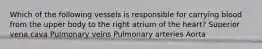 Which of the following vessels is responsible for carrying blood from the upper body to the right atrium of the heart? Superior vena cava Pulmonary veins Pulmonary arteries Aorta
