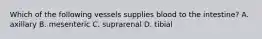 Which of the following vessels supplies blood to the intestine? A. axillary B. mesenteric C. suprarenal D. tibial