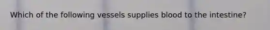 Which of the following vessels supplies blood to the intestine?