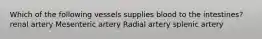 Which of the following vessels supplies blood to the intestines? renal artery Mesenteric artery Radial artery splenic artery