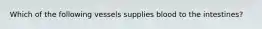 Which of the following vessels supplies blood to the intestines?