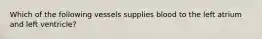 Which of the following vessels supplies blood to the left atrium and left ventricle?