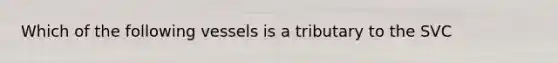 Which of the following vessels is a tributary to the SVC