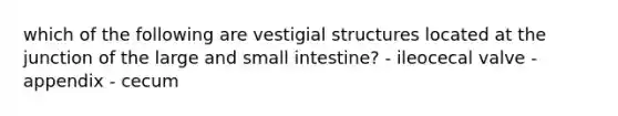 which of the following are vestigial structures located at the junction of the large and small intestine? - ileocecal valve - appendix - cecum