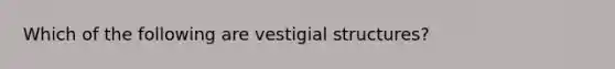 Which of the following are vestigial structures?