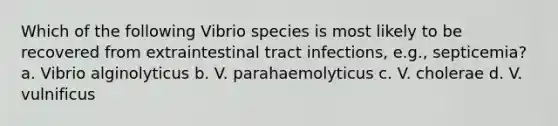 Which of the following Vibrio species is most likely to be recovered from extraintestinal tract infections, e.g., septicemia? a. Vibrio alginolyticus b. V. parahaemolyticus c. V. cholerae d. V. vulnificus