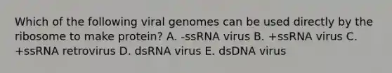 Which of the following viral genomes can be used directly by the ribosome to make protein? A. -ssRNA virus B. +ssRNA virus C. +ssRNA retrovirus D. dsRNA virus E. dsDNA virus