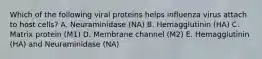 Which of the following viral proteins helps influenza virus attach to host cells? A. Neuraminidase (NA) B. Hemagglutinin (HA) C. Matrix protein (M1) D. Membrane channel (M2) E. Hemagglutinin (HA) and Neuraminidase (NA)