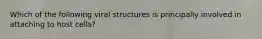 Which of the following viral structures is principally involved in attaching to host cells?