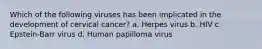 Which of the following viruses has been implicated in the development of cervical cancer? a. Herpes virus b. HIV c. Epstein-Barr virus d. Human papilloma virus