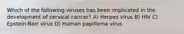 Which of the following viruses has been implicated in the development of cervical cancer? A) Herpes virus B) HIV C) Epstein-Barr virus D) Human papilloma virus