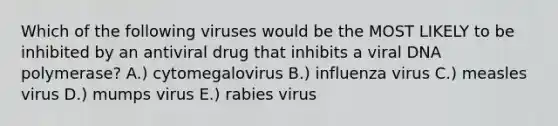 Which of the following viruses would be the MOST LIKELY to be inhibited by an antiviral drug that inhibits a viral DNA polymerase? A.) cytomegalovirus B.) influenza virus C.) measles virus D.) mumps virus E.) rabies virus