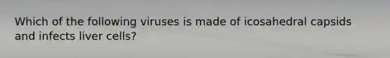 Which of the following viruses is made of icosahedral capsids and infects liver cells?