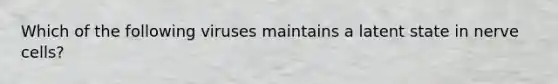 Which of the following viruses maintains a latent state in nerve cells?