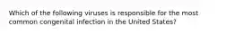 Which of the following viruses is responsible for the most common congenital infection in the United States?