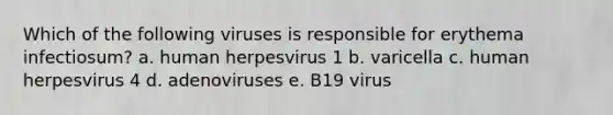 Which of the following viruses is responsible for erythema infectiosum? a. human herpesvirus 1 b. varicella c. human herpesvirus 4 d. adenoviruses e. B19 virus