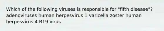 Which of the following viruses is responsible for "fifth disease"? adenoviruses human herpesvirus 1 varicella zoster human herpesvirus 4 B19 virus