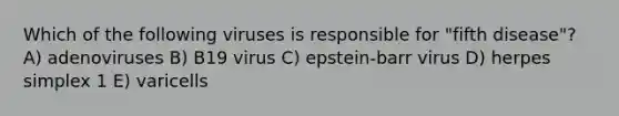 Which of the following viruses is responsible for "fifth disease"? A) adenoviruses B) B19 virus C) epstein-barr virus D) herpes simplex 1 E) varicells