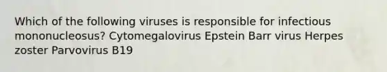 Which of the following viruses is responsible for infectious mononucleosus? Cytomegalovirus Epstein Barr virus Herpes zoster Parvovirus B19