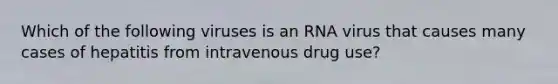 Which of the following viruses is an RNA virus that causes many cases of hepatitis from intravenous drug use?