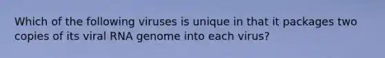 Which of the following viruses is unique in that it packages two copies of its viral RNA genome into each virus?