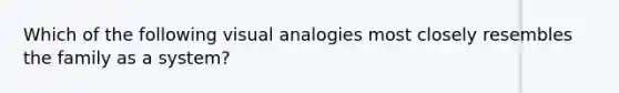 Which of the following visual analogies most closely resembles the family as a system?