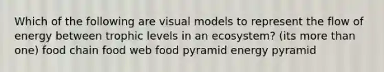 Which of the following are visual models to represent the flow of energy between trophic levels in an ecosystem? (its more than one) food chain food web food pyramid energy pyramid