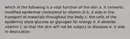 which of the following is a vital function of the skin a. it converts modified epidermal cholesterol to vitamin D b. it aids in the transport of materials throughout the body c. the cells of the epidermis store glucose as glycogen for energy d. it absorbs vitamin C so that the skin will not be subject to diseases e. it aids in desiccation