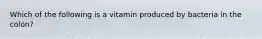 Which of the following is a vitamin produced by bacteria in the colon?