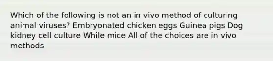 Which of the following is not an in vivo method of culturing animal viruses? Embryonated chicken eggs Guinea pigs Dog kidney cell culture While mice All of the choices are in vivo methods