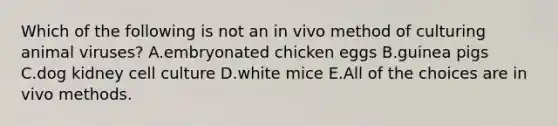 Which of the following is not an in vivo method of culturing animal viruses? A.embryonated chicken eggs B.guinea pigs C.dog kidney cell culture D.white mice E.All of the choices are in vivo methods.