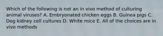 Which of the following is not an in vivo method of culturing animal viruses? A. Embryonated chicken eggs B. Guinea pigs C. Dog kidney cell cultures D. White mice E. All of the choices are in vivo methods