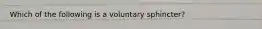 Which of the following is a voluntary sphincter?