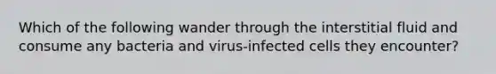 Which of the following wander through the interstitial fluid and consume any bacteria and virus-infected cells they encounter?