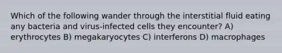 Which of the following wander through the interstitial fluid eating any bacteria and virus-infected cells they encounter? A) erythrocytes B) megakaryocytes C) interferons D) macrophages