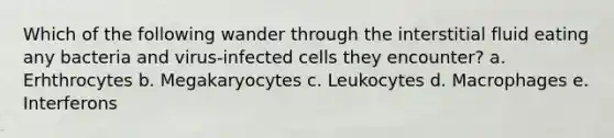 Which of the following wander through the interstitial fluid eating any bacteria and virus-infected cells they encounter? a. Erhthrocytes b. Megakaryocytes c. Leukocytes d. Macrophages e. Interferons