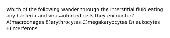 Which of the following wander through the interstitial fluid eating any bacteria and virus-infected cells they encounter? A)macrophages B)erythrocytes C)megakaryocytes D)leukocytes E)interferons