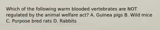 Which of the following warm blooded vertebrates are NOT regulated by the animal welfare act? A. Guinea pigs B. Wild mice C. Purpose bred rats D. Rabbits