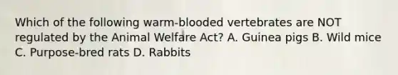 Which of the following warm-blooded vertebrates are NOT regulated by the Animal Welfare Act? A. Guinea pigs B. Wild mice C. Purpose-bred rats D. Rabbits