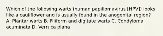 Which of the following warts (human papillomavirus [HPV]) looks like a cauliflower and is usually found in the anogenital region? A. Plantar warts B. Filiform and digitate warts C. Condyloma acuminata D. Verruca plana
