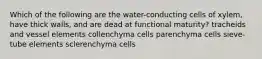 Which of the following are the water-conducting cells of xylem, have thick walls, and are dead at functional maturity? tracheids and vessel elements collenchyma cells parenchyma cells sieve-tube elements sclerenchyma cells